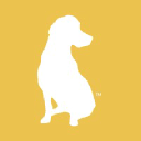 YellowDog Design, Print and Marketing Logo