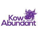 Kow Abundant - Full-Service Digital Agency Logo