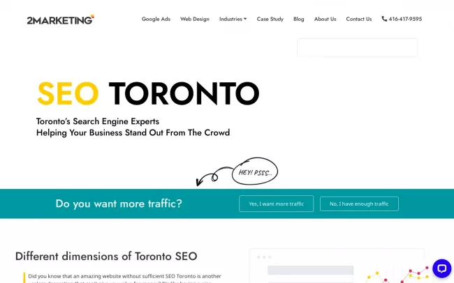 Screenshot of the 2Marketing Website