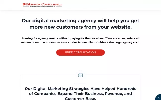 Screenshot of the 301Consulting - SEO Agency Website