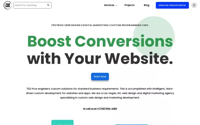 Screenshot of the 702 Pros Website
