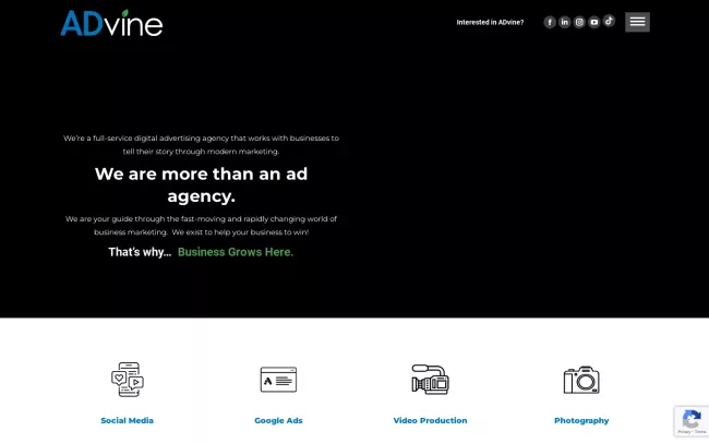 Screenshot of the ADvine Website