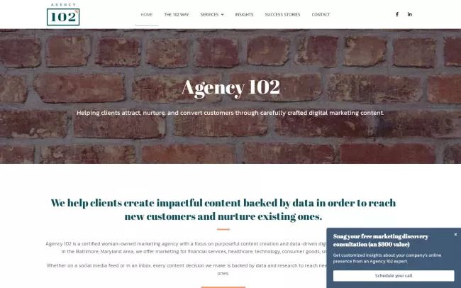 Screenshot of the Agency 102 Website