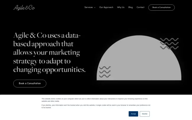 Screenshot of the Agile & Co Website