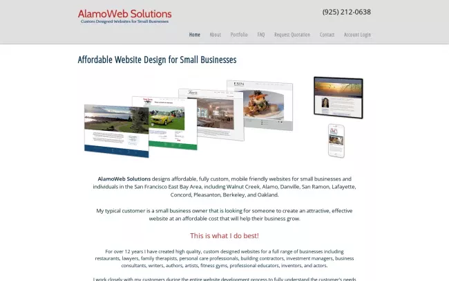 Screenshot of the AlamoWeb Solutions Website