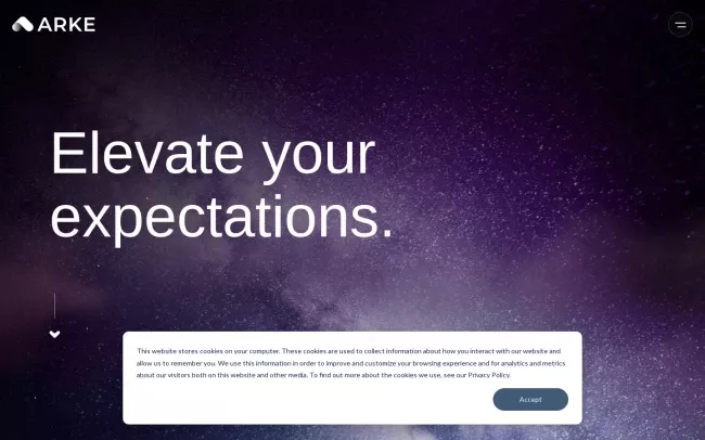 Screenshot of the Arke Website
