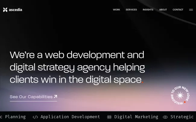 Screenshot of the Ascedia Inc Website