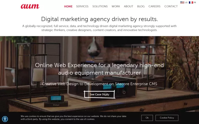 Screenshot of the Aumcore Website