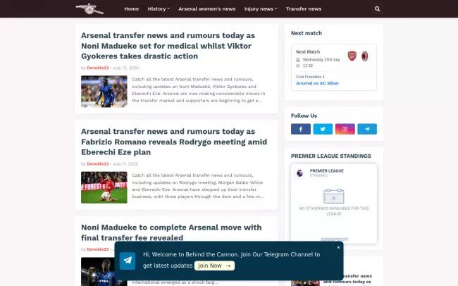 Screenshot of the Behind the Cannon Blog