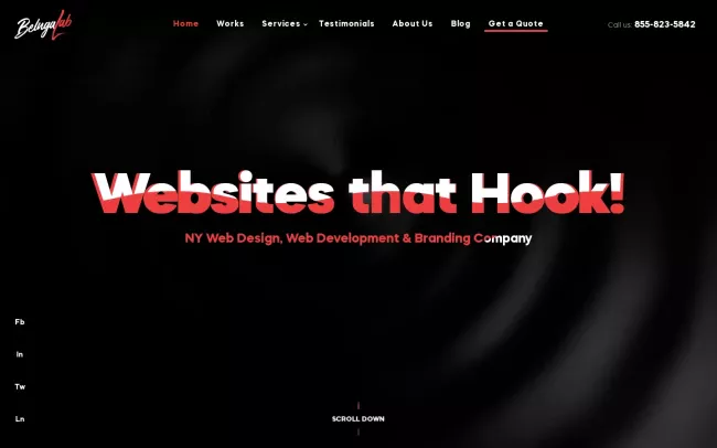 Screenshot of the Beluga Labs Website