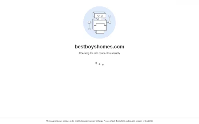Screenshot of the Best Boys Homes Website