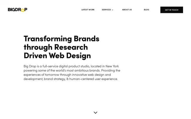 Screenshot of the Big Drop Inc Web Design Website