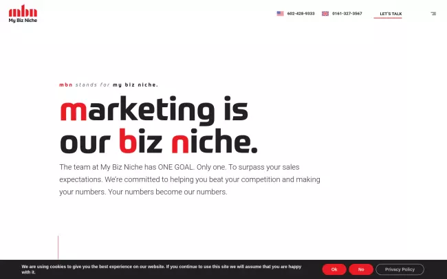 Screenshot of the My Biz Niche Website