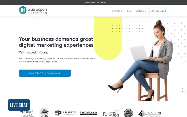 Screenshot of the Blue Aspen Marketing Website