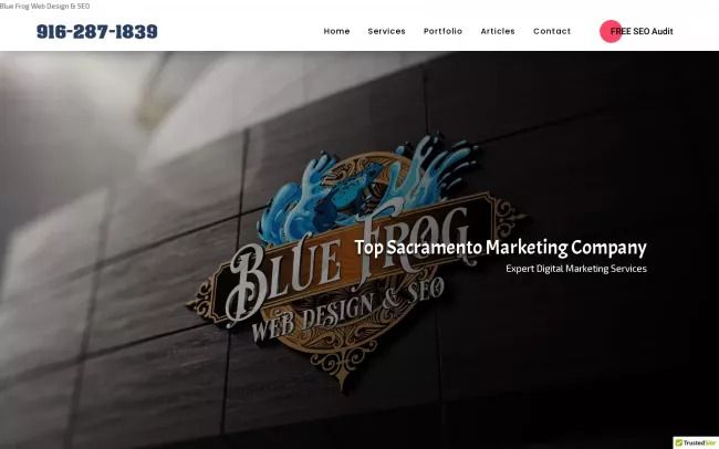 Blue Frog Web Design & SEO