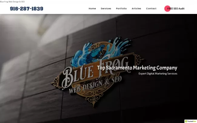 Screenshot of the Blue Frog Web Design & SEO Website