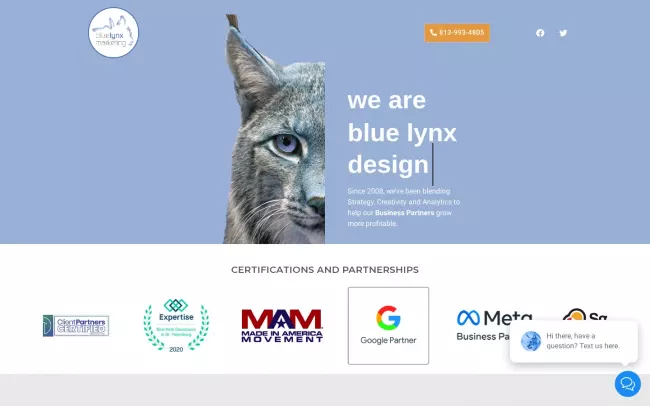 Screenshot of the Blue Lynx Marketing, Inc. Website