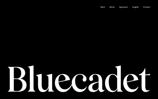 Screenshot of the Bluecadet Website