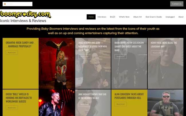 Screenshot of the Boomerocity.com Blog
