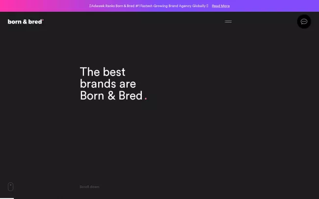 Screenshot of the Born & Bred Website