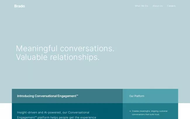 Screenshot of the Brado Website