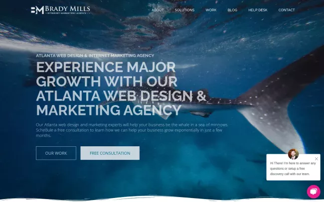 Screenshot of the Brady Mills LLC Website