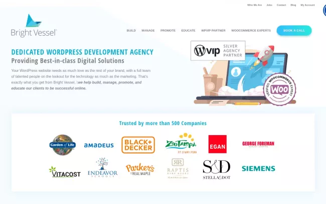 Screenshot of the Bright Vessel Website