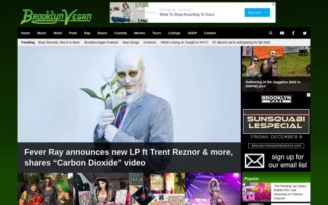 Screenshot of the BrooklynVegan Blog