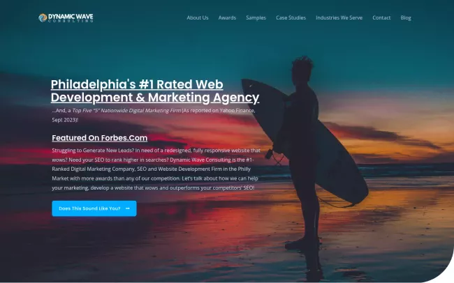 Screenshot of the Dynamic Wave Consulting Website