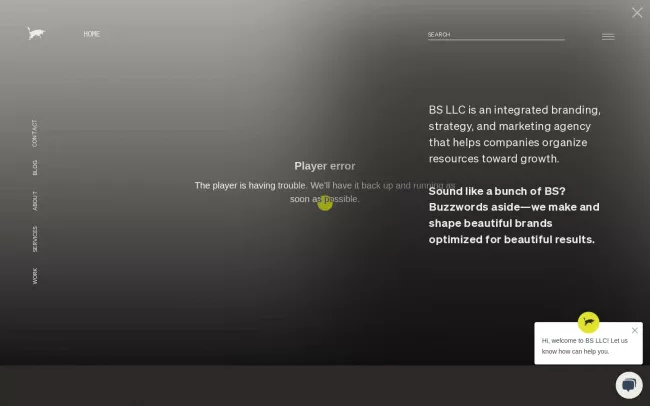 Screenshot of the BS LLC • Grow, Differentiate, Align • Customer-First Agency Website