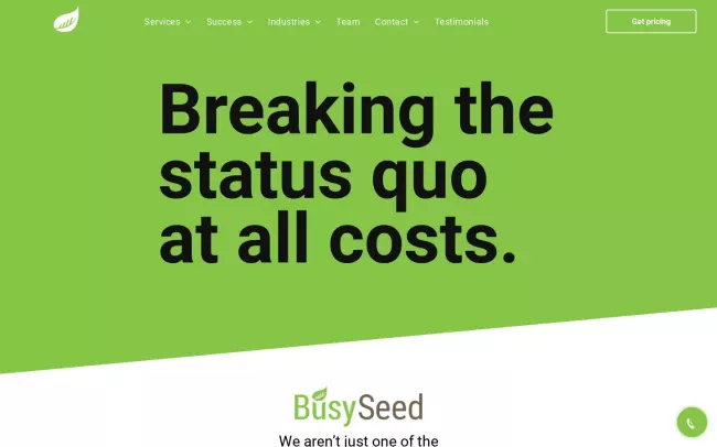 Screenshot of the BusySeed Website