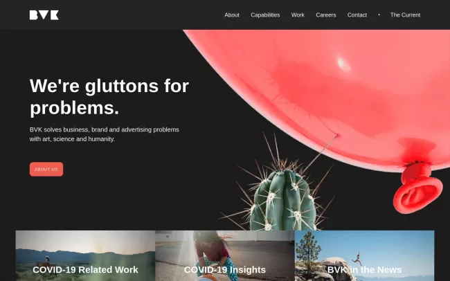 Screenshot of the BVK Website