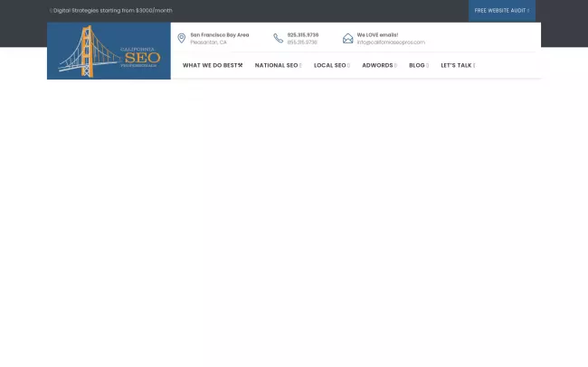 Screenshot of the California SEO Professionals - Digital Marketing Agency Website