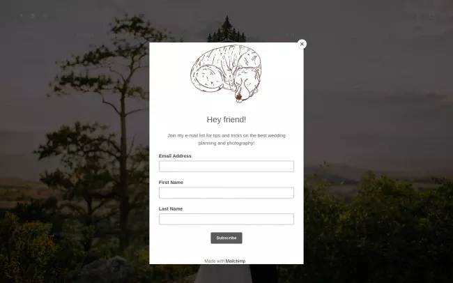 Screenshot of the Cassie Madden Photography Website