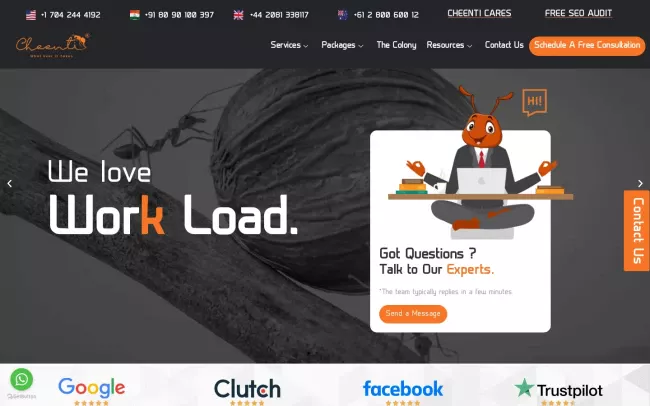Screenshot of the Cheenti Digital LLC Website