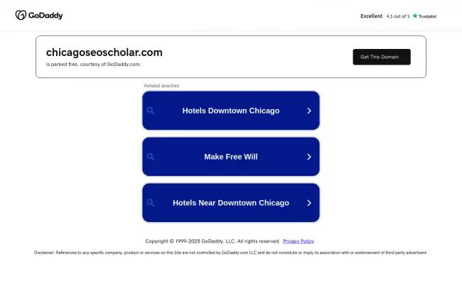 Screenshot of the Chicago SEO Scholar Website