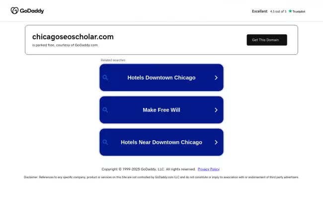 Screenshot of the Chicago SEO Scholar Website