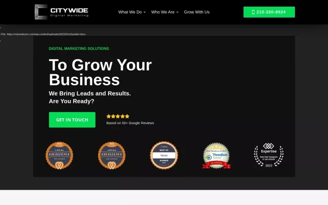 Screenshot of the Citywide SEO Website