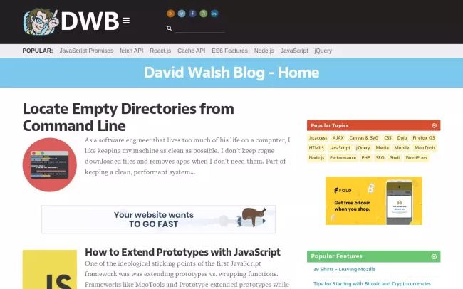 Screenshot of the David Walsh - Software Development Blog