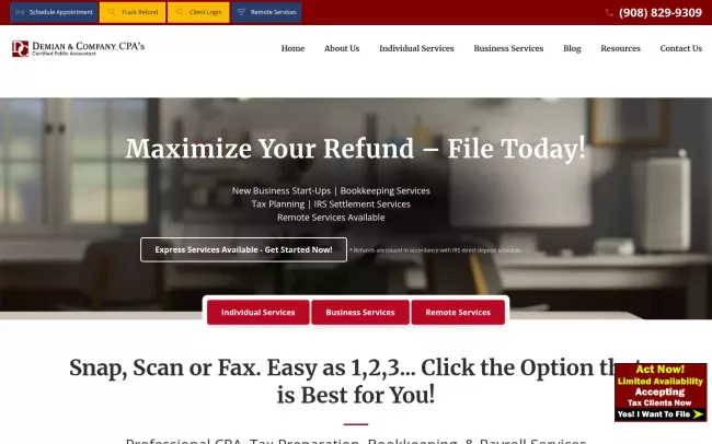 Screenshot of the Demian & Company, LLC Website