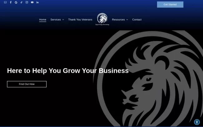 Screenshot of the Digital Kings Networking LLC Website