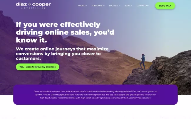 Screenshot of the Digital Marketing Whiz Website