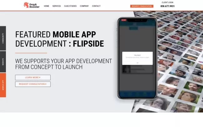 Screenshot of the Dog and Rooster Website