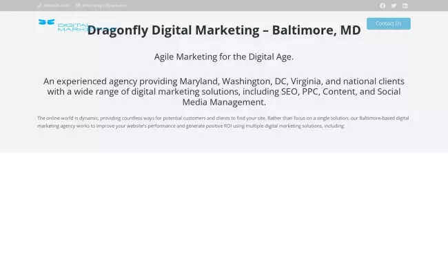Screenshot of the Dragonfly Digital Marketing Website