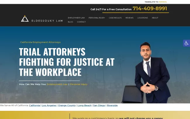 Screenshot of the Eldessouky Law Website
