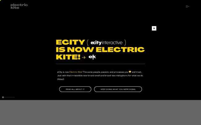 Screenshot of the Electric Kite Website
