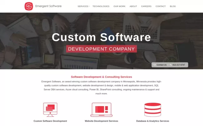 Screenshot of the Emergent Software Website