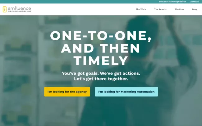 Screenshot of the Emfluence, LLC Website