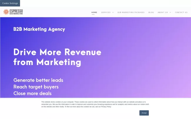 Screenshot of the Espresso B2B Marketing Website