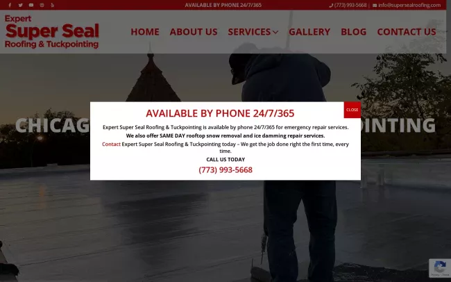 Screenshot of the Expert Super Seal Roofing & Tuckpointing Website